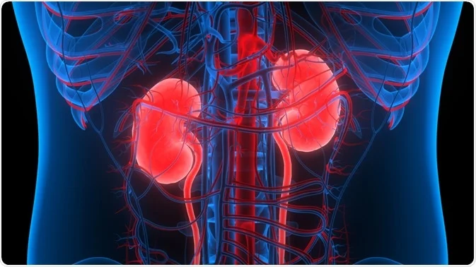 Chronic Renal Diseases